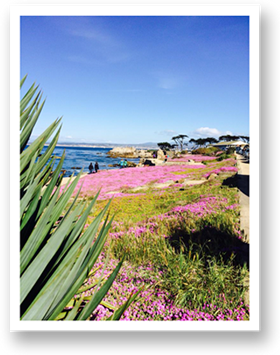 Stensland Design, Marina, California